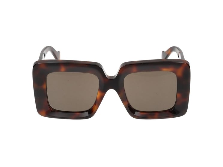 Loewe Oversized Tortoiseshell Sunglasses with Gold Emblem