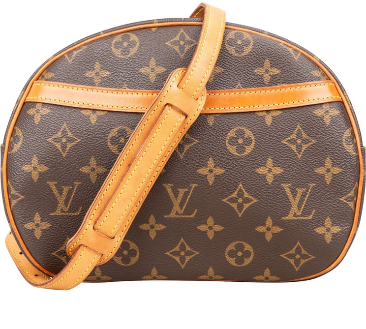 Louis Vuitton Louis Vuitton Monogram Canvas Blois Crossbody Bag