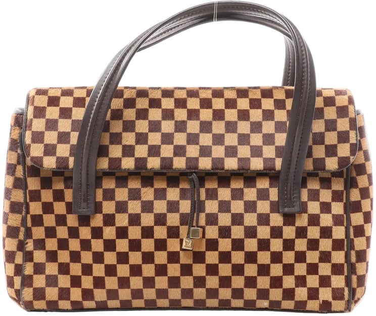 Louis Vuitton Louis Vuitton Lionne Damier Sauvage Pony-style Leather Handbag in Brown M92131