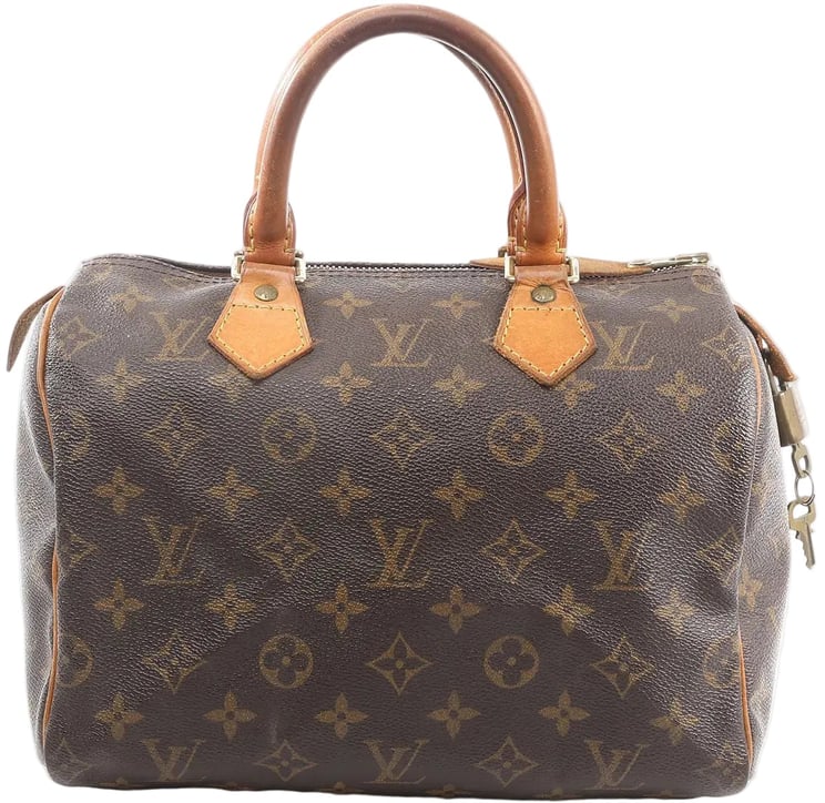 Louis Vuitton Louis Vuitton Speedy 25 Monogram Canvas Handbag in Brown M41528