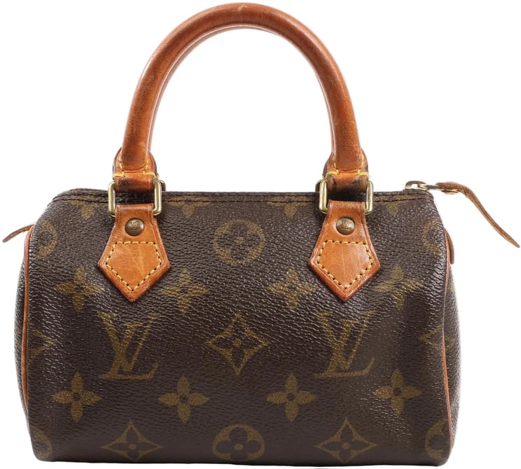 Louis Vuitton Louis Vuitton Speedy Nano Monogram Handbag in Brown M41534