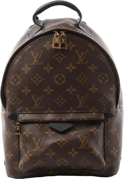 Louis Vuitton Louis Vuitton Palm Springs PM Monogram Backpack in Brown M41560