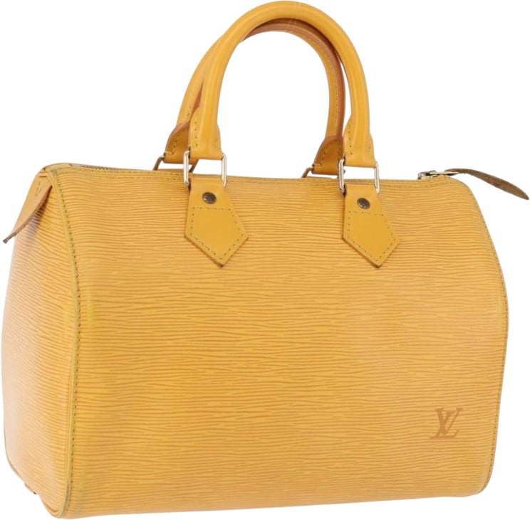 Louis Vuitton Louis Vuitton Speedy Epi 25