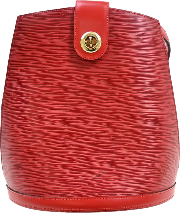 Louis Vuitton Louis Vuitton Cluny Epi Leather medium