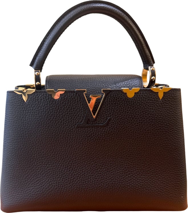 Louis Vuitton Louis Vuitton Capucines Leather MM