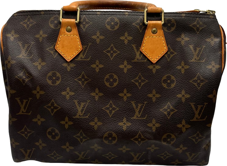 Louis Vuitton Louis Vuitton Speedy Monogram Canvas 30