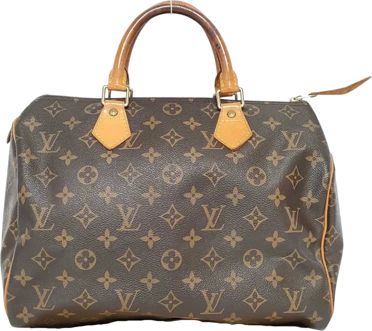 Louis Vuitton Louis Vuitton Speedy Monogram Canvas 30