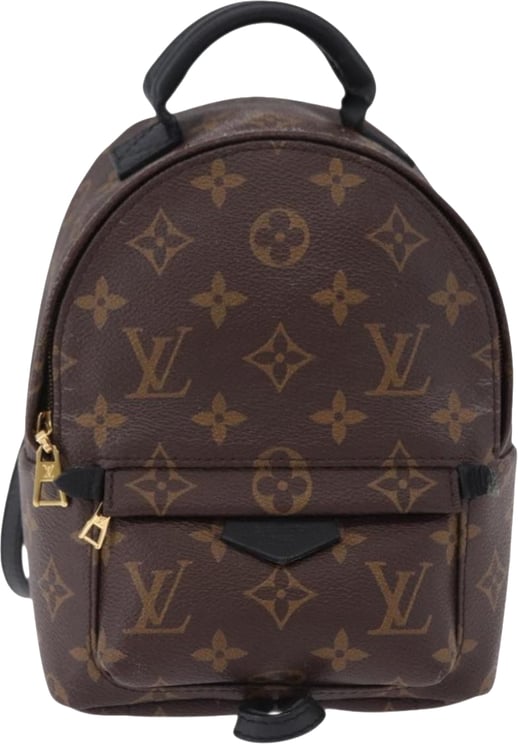 Louis Vuitton Louis Vuitton Palm Springs Monogram Mini