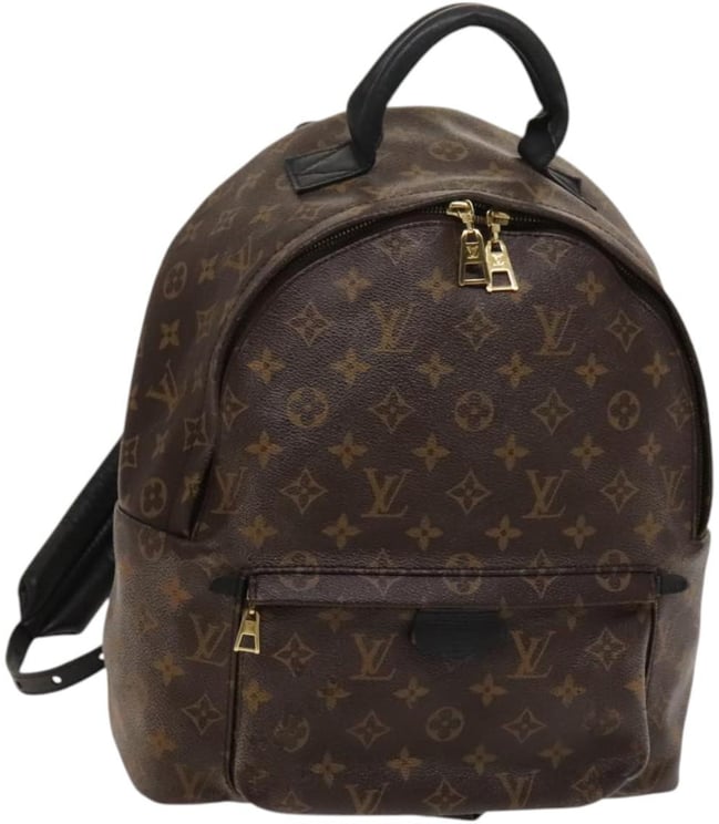 Louis Vuitton Louis Vuitton Palm Springs Backpack Monogram Canvas MM