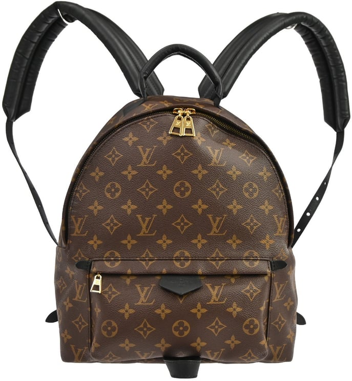Louis Vuitton Louis Vuitton Palm Springs Backpack Monogram Canvas MM