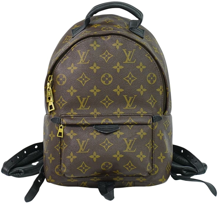 Louis Vuitton Louis Vuitton Palm Springs Backpack Monogram Canvas PM