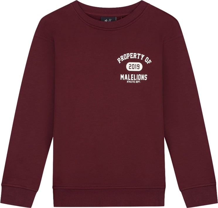 Malelions Malelions Junior Relaxed Property Sweater