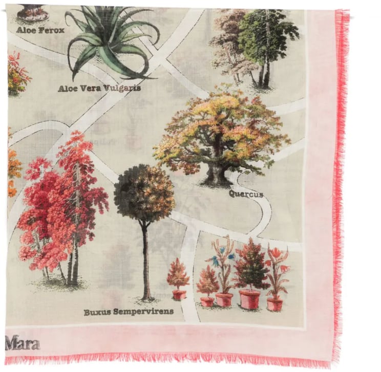 Max Mara Square Scarf Antique Rose