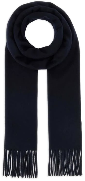 Max Mara wsdalia divers