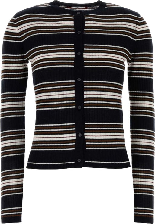 Max Mara Sweaters Blu Multi