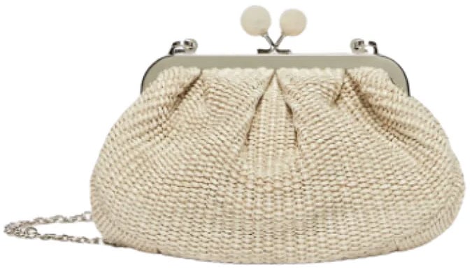 Max Mara Bags Intonaco