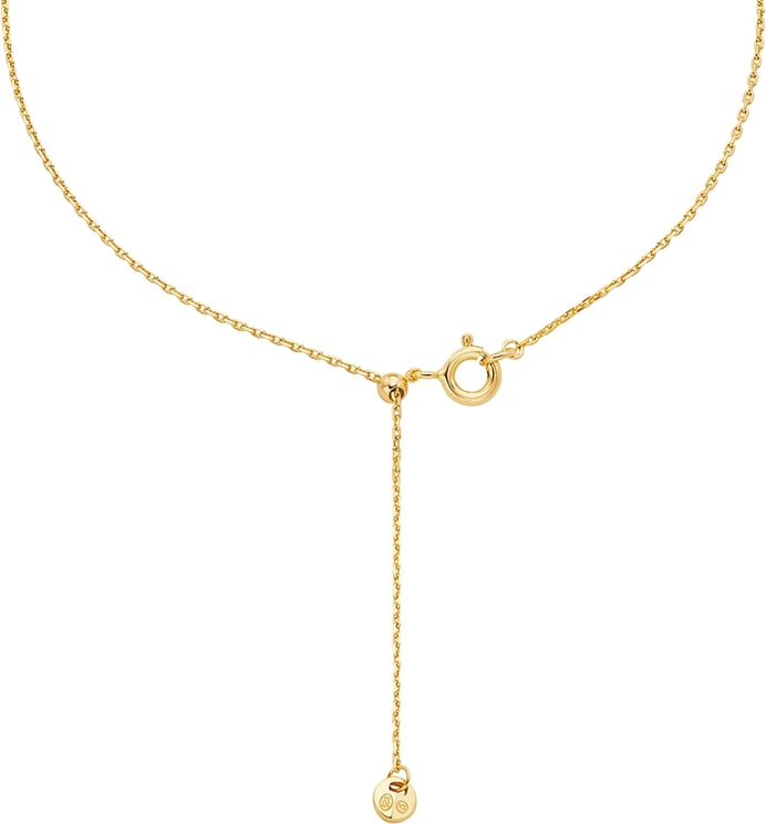 Michael Kors Michael Kors Kors Brilliance - Ketting - Goud