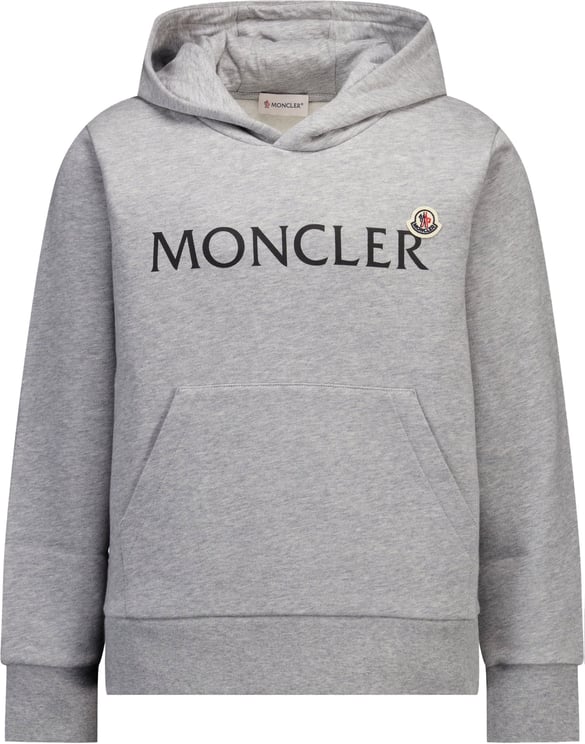 Moncler Moncler Kinder Jongens Trui In Grijs