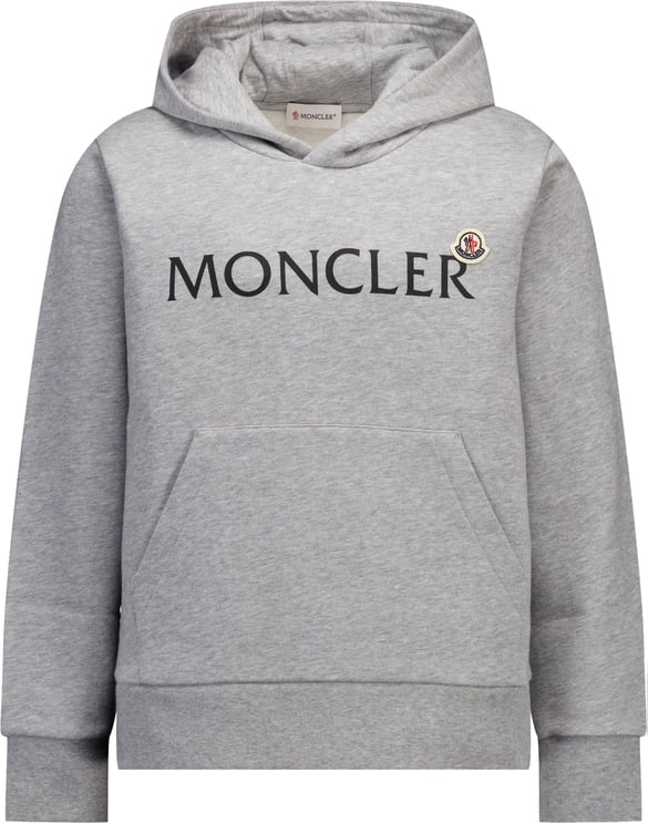 Moncler Moncler Kinder Jongens Trui In Grijs