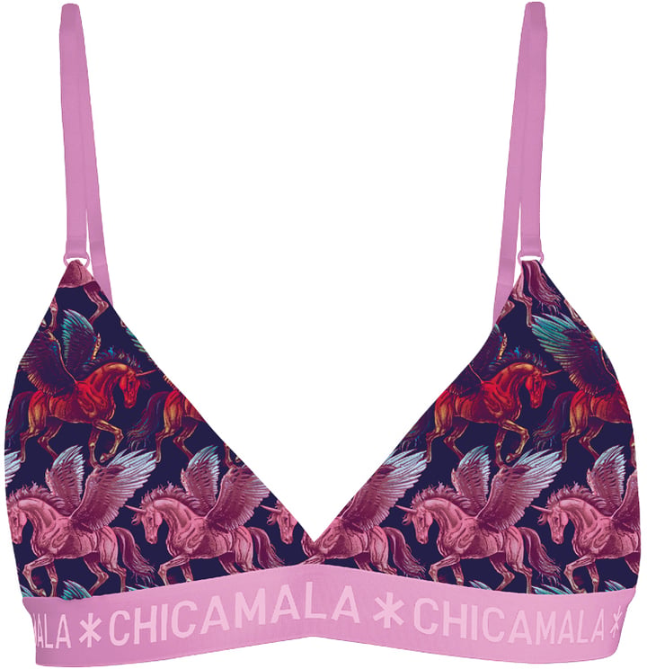 Muchachomalo Chicamala BH.