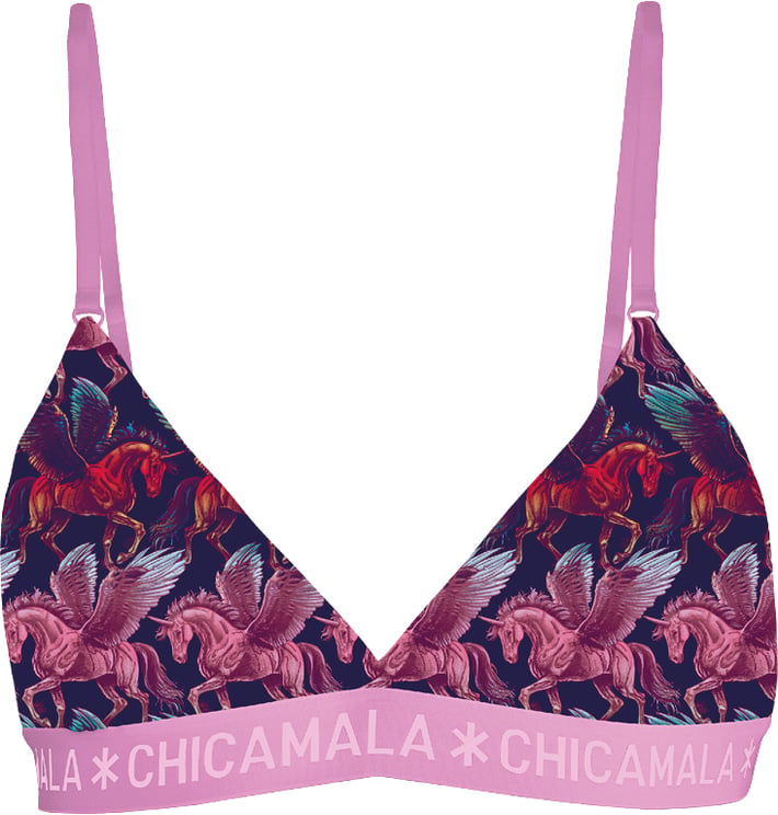 Muchachomalo Chicamala BH.
