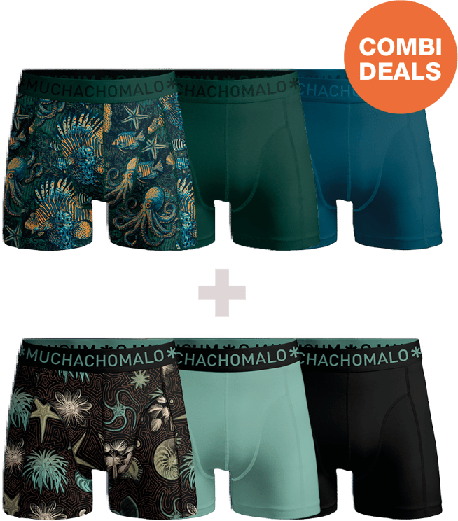 Muchachomalo Muchachomalo