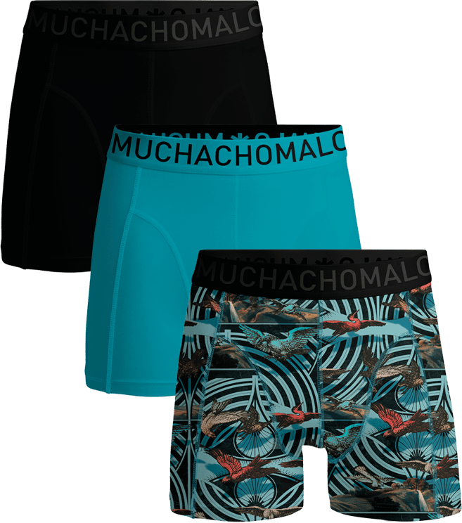 Muchachomalo Muchachomalo