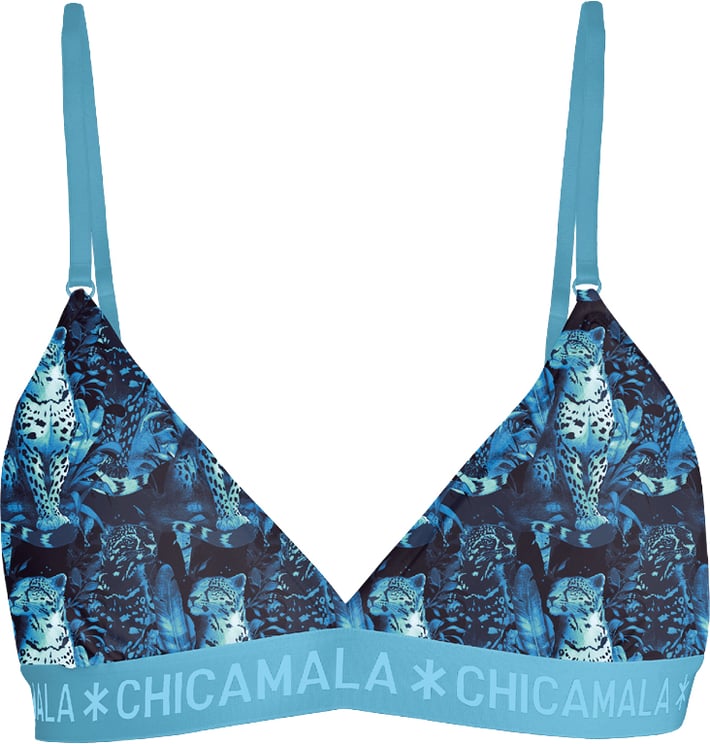 Muchachomalo Chicamala BH.
