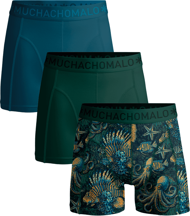 Muchachomalo Muchachomalo