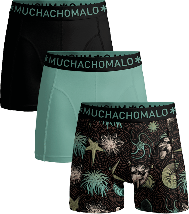 Muchachomalo Muchachomalo