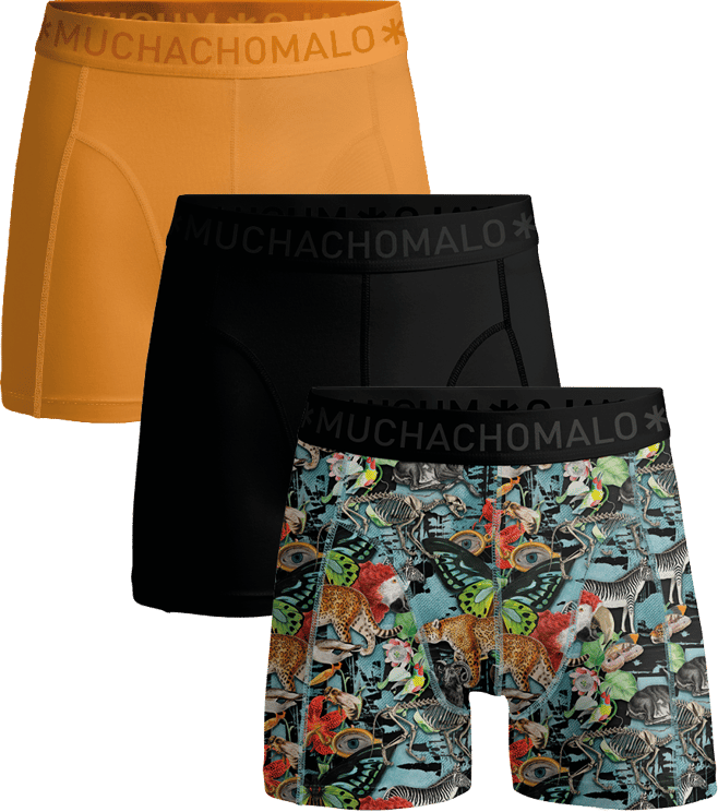 Muchachomalo Muchachomalo