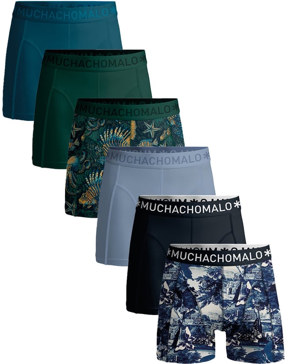 Muchachomalo Muchachomalo