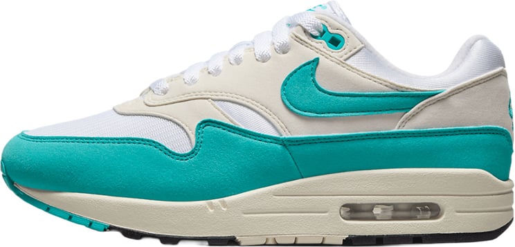 Nike Nike Air Max 1 Dusty Cactus (Women's)