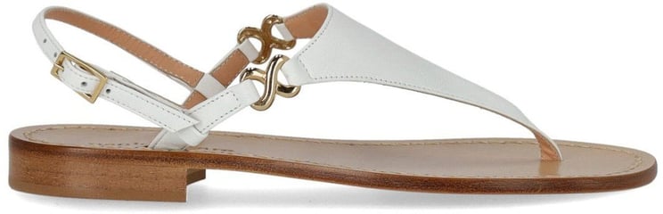 Paolo Ferrara PAOLO FERRARA THONG SANDAL