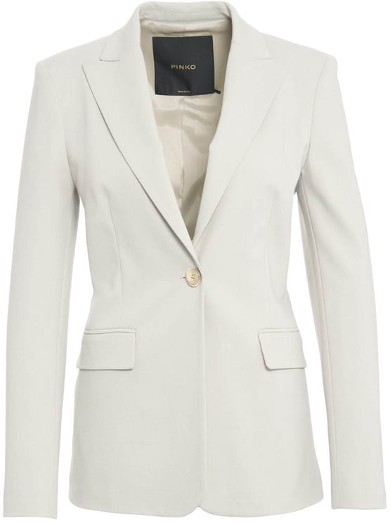 Pinko Tailored blazer
