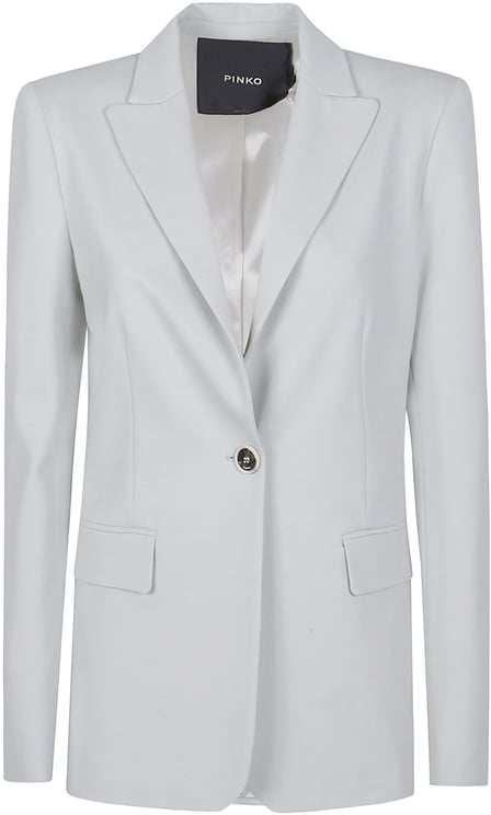 Pinko New Signum Jacket Grey