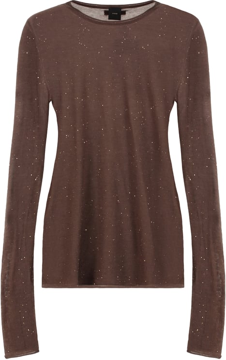 Pinko Pico Long sleeve sequin top