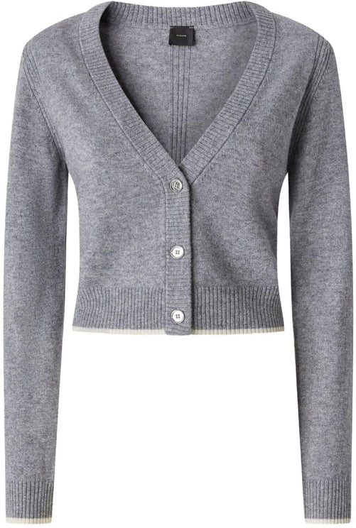 Pinko Sweaters Grey