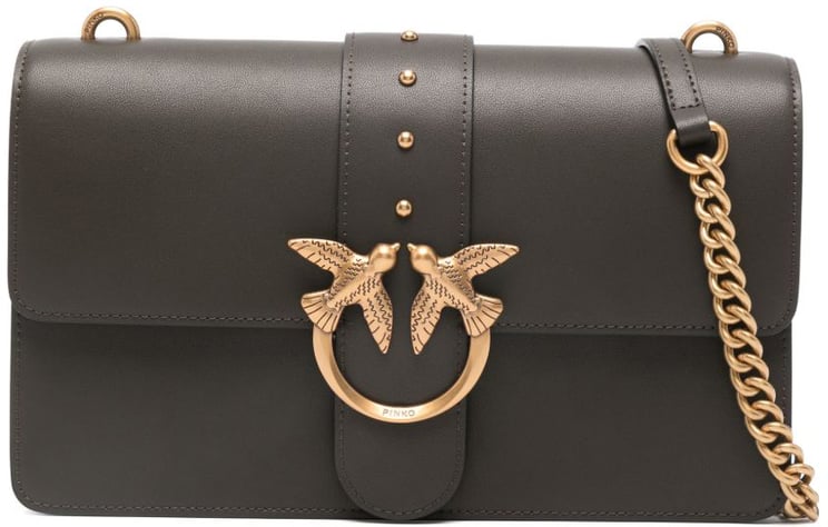 Pinko Bags Marrone