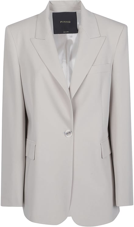 Pinko Deddy Jacket Grey