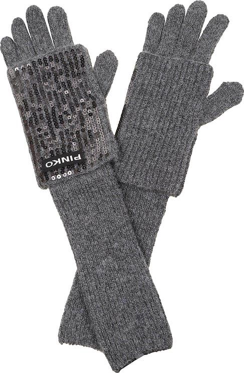 Pinko Gardenia Gloves Grey
