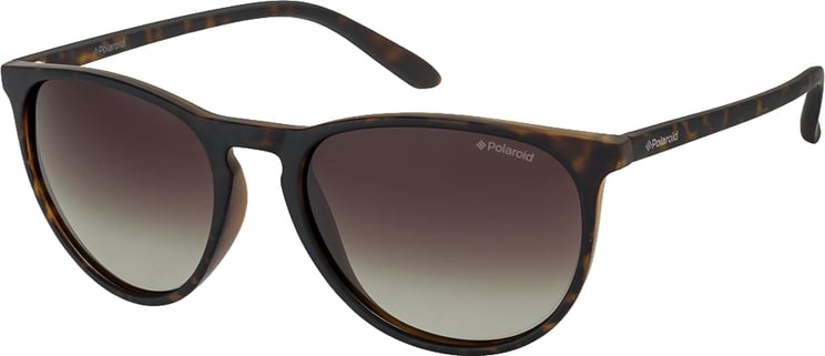 Polaroid Polaroid Brown Plastic Sunglasses