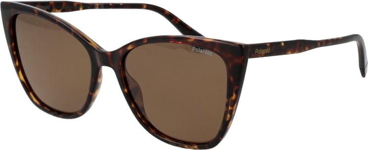 Polaroid Polaroid Brown Polycarbonate Sunglasses