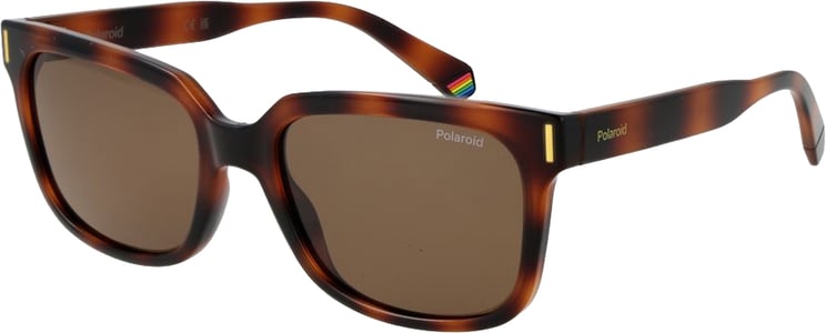 Polaroid Polaroid Brown Polycarbonate Sunglasses