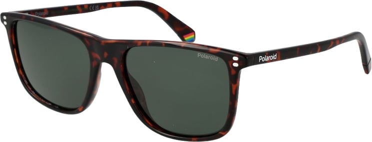 Polaroid Polaroid Brown Polycarbonate Sunglasses