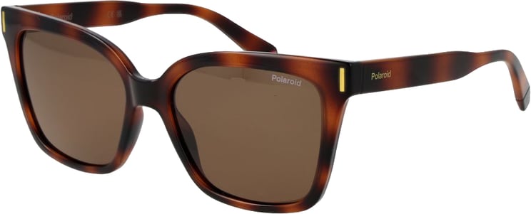 Polaroid Polaroid Brown Plastic Sunglasses