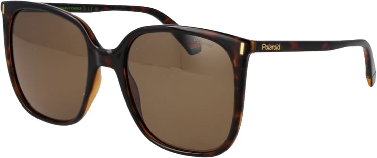 Polaroid Polaroid Brown Plastic Sunglasses