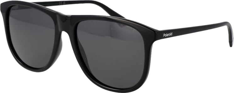Polaroid Polaroid Black Plastic Sunglasses