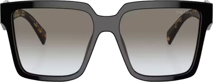 Prada Pr 24Zs Oversized Square Sunglasses