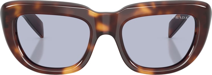 Prada 0pr D07s Oversized Cat-Eye Sunglasses